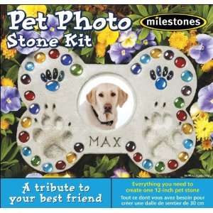  Milestones, Pet Photo Stone Kit Toys & Games