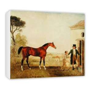  Sultan at the Marquess of Exeters Stud,   Canvas 