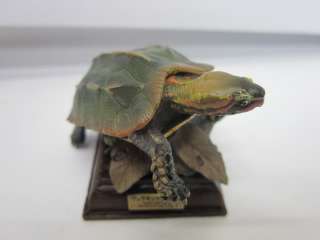 NAME  Nature Techni Colour Turtle capsule Ryukyu leaf turtle (B)