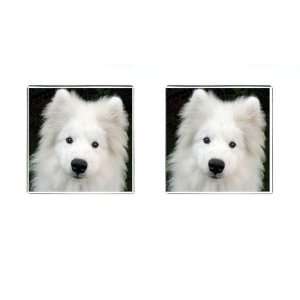  Samoyed Puppy Dog Square Cufflinks F0760 