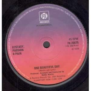  ONE BEAUTIFUL DAY 7 INCH (7 VINYL 45) UK PYE 1975 