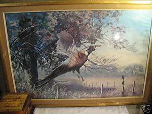 Peter Darro Signed Pheasant Limited Edition Print  