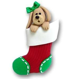  Girl Dog in Small Stocking