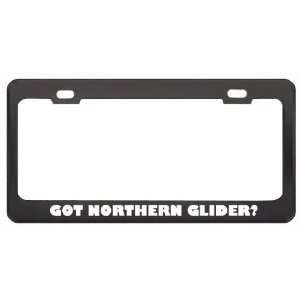 Got Northern Glider? Animals Pets Black Metal License Plate Frame 