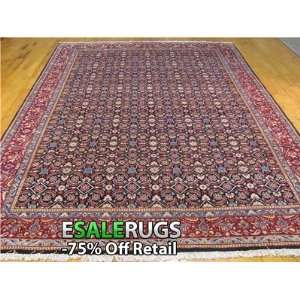 11 3 Farahan Hand Knotted Persian rug 