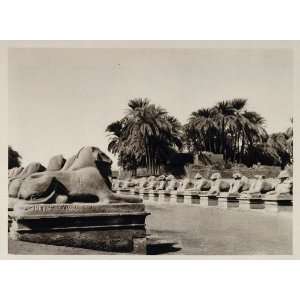  1929 Karnak Avenue Rams Widderstrasse Temple Egypt 