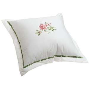  Raymond Waites Ashleigh 18 by 18 Inch Decorative Pillow 