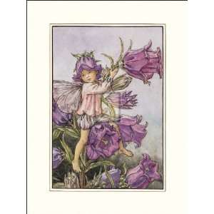  Canterbury Bell Fairy by Cicely Mary Barker. Size 12 