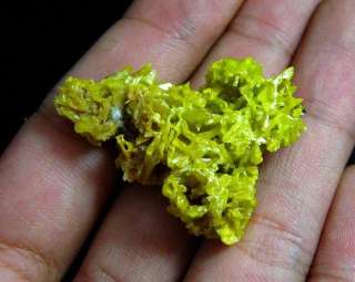 PYROMORPHITE crystal cluster,mineral pygx1ibz107  