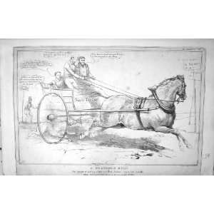 Palpable Bolt Mclean John Doyle Hb Sketch 1831 Wellington 