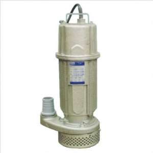 GR Grey Iron Submersible Pump with 1/2 HP, 115 V Electric Motor 