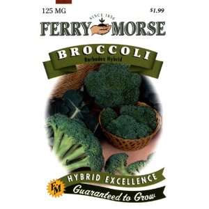  Ferry Morse Seeds 1467 Broccoli   Barbados Hybrid 125 