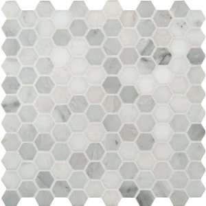 MS International Arabescato Carrara Marble Mosaic Hexagon 12 x 12 