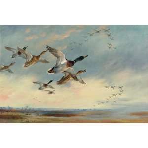   Archibald Thorburn   24 x 16 inches   The Evening F