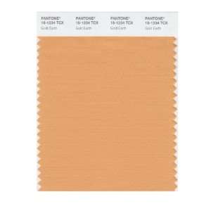  PANTONE SMART 15 1234X Color Swatch Card, Gold Earth