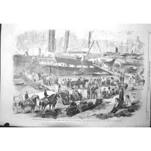  1856 ARTILLERY SHIP ARGO BALACLAVA ENGLAND HORSES WAR 