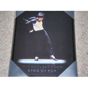  Michael Jackson King of Pop Picture 
