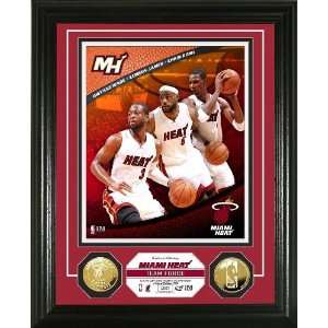  Miami Heat Team Force 24KT Gold Coin Photo Mint Sports 