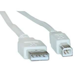  USB Type A Male / Type B Male, 2.0 Version, 10 ft 