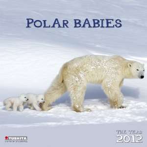  Polar Babies 2012 Wall Calendar