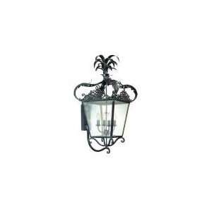  Troy Lighting B1056BW Portola 4 Light Wall Lantern,Biron 