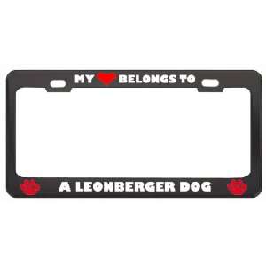 My Heart Belongs To A Leonberger Dog Animals Pets Metal License Plate 