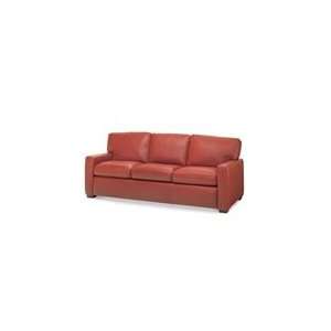 Carson Sofa by American Leather   Sectional Sofas 