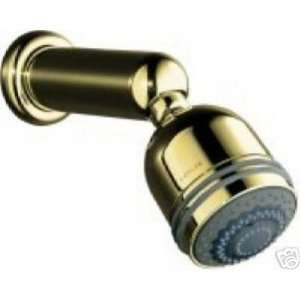  Kohler Polished Brass 3 way Adjustable Showerhead