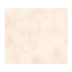  York Wallcoverings WW4477 West Wind Aged Stucco Prepasted 