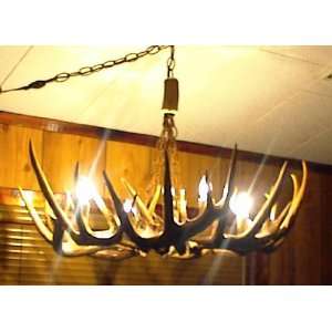  Whitetail Chandelier Large