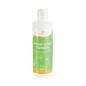   Scents Shampoo by Young Living   8 fl. oz.