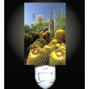  Cactus Garden Decorative Night Light