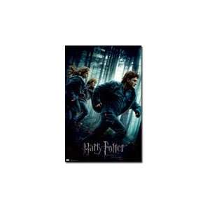   Harry Potter and the Deathly Hallows Part 1 Movie Poster 22x34 Print