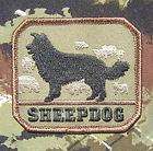 IMMEDIATE ACTION ARMY MORALE ISAF FOREST VELCRO PATCH  
