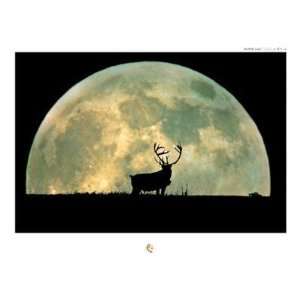  Caribou In Full Moon Poster Print