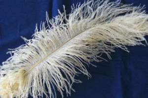 PACK OF 10 BEIGE BLONDENE OSTRICH FEATHERS 350 400MM  