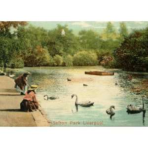   Girls Feeding Swans, Liverpool UK 1904 Vintage Poster 