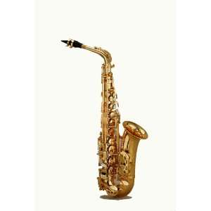  Chateau Alto Saxophone VCH 800GGY2 Musical Instruments