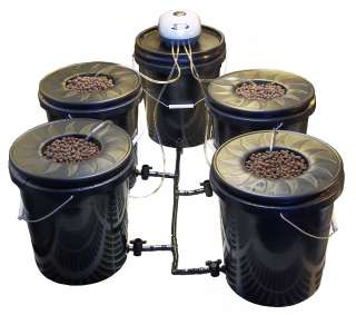 Bucket Deep Water Hydroponic Grow System, 4 [plant syst  