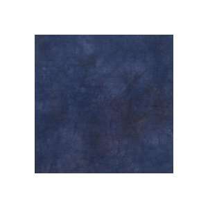    10 x 12 Galaxy Blue Hand Dyed Muslin Background