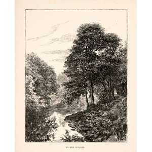  1894 Wood Engraving On Wharfe Yorkshire England River Trees 