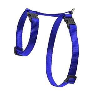  1/2 Blue 12 20 H style Harness