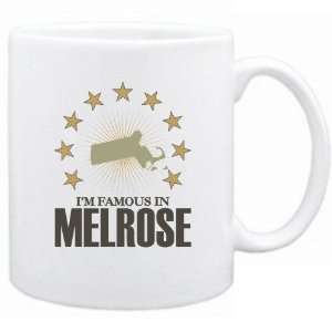   Am Famous In Melrose  Massachusetts Mug Usa City