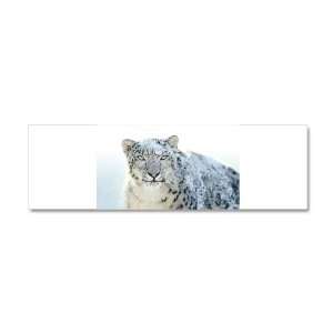  21 x 7 Wall Vinyl Sticker Snow Leopard HD Apple 