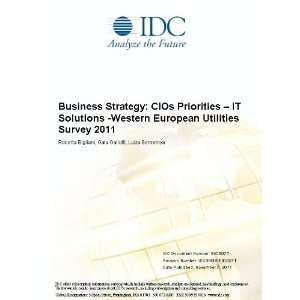 Business Strategy CIOs Priorities   IT Solutions  Western European 