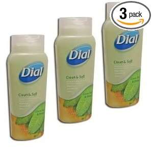 Dial Clean & Soft Moisturizing Body Wash, Green Tea & Honey, 12 Fl Oz 