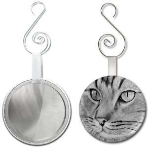  CLOSE UP CAT EYES Pencil Sketch Art 2.25 inch Glass Mirror 