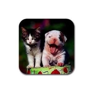 cut puppy and kitten Rubber Square Coaster set (4 pack) Great Gift 