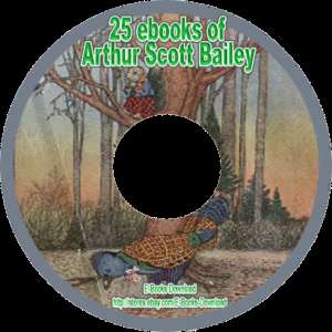 21ebooks Arthur Scott Bailey Sleepy Time Tales Cd NEW  