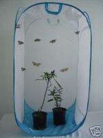 Butterfly Cage, Pop Up, 16.5 x 16.5 x 30 in (LH30)  